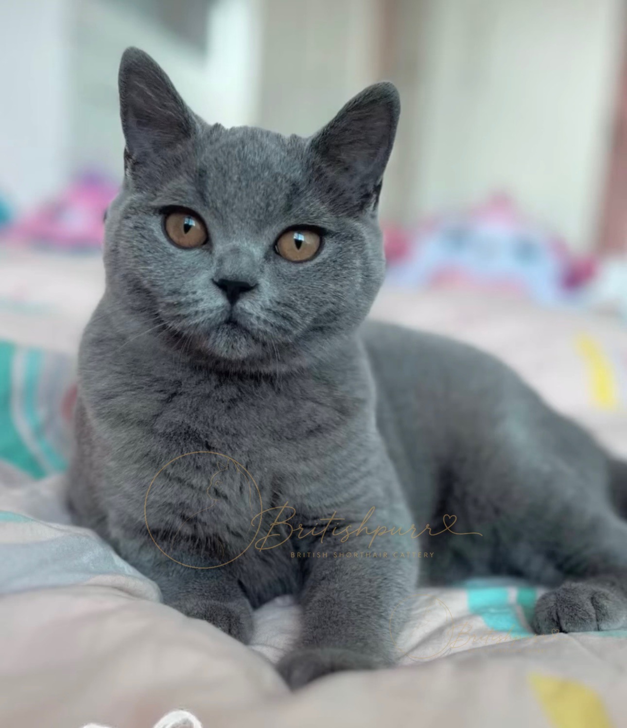 Xena